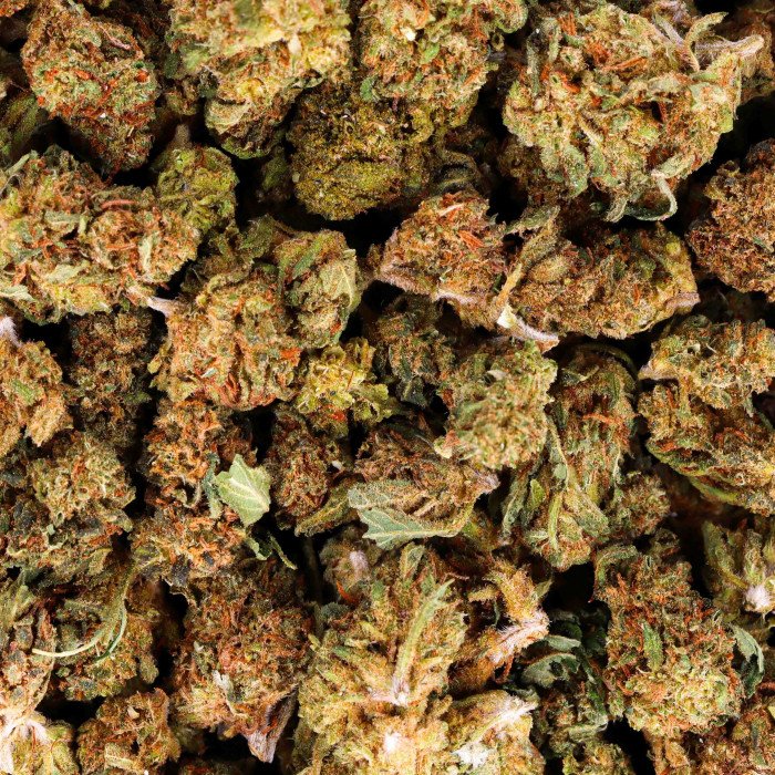 Small Buds Amnesia CBD
